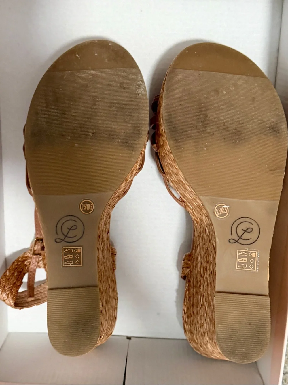 ☀️Chinese Laundry EVIE LOTTO in Sun-kissed nude Platform Wedge Sandals☀️